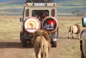 Moshi: 2-dagers safari til Lake Manyara og Ngorongoro med overnatting
