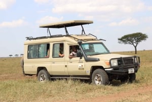 Moshi: 2-daagse safari naar het Tarangire Park en de Ngorongorokrater
