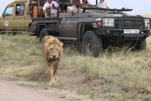 Moshi: 2 päivän safari Tarangiren puistoon ja Ngorongoron kraatteriin