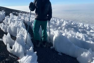 Moshi: trekking di 4 giorni dal Kilimangiaro all'altopiano di Shira