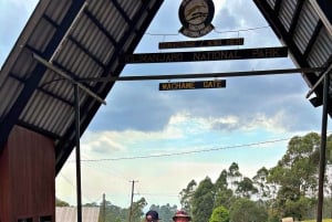 Moshi: trekking di 4 giorni dal Kilimangiaro all'altopiano di Shira