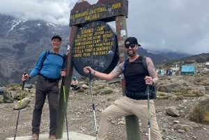 Moshi: trekking di 4 giorni dal Kilimangiaro all'altopiano di Shira