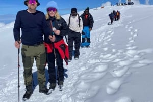 Moshi: trekking di 4 giorni dal Kilimangiaro all'altopiano di Shira