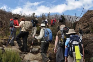 Moshi: 5 giorni di trekking sul Kilimangiaro e safari