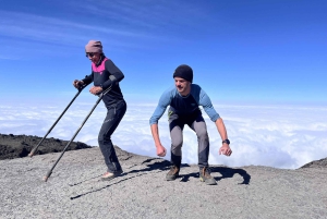 Moshi: 7-dages Kilimanjaro-bestigning via Rongai-ruten