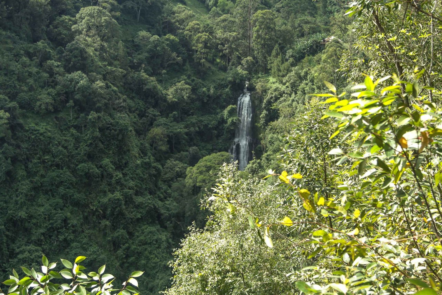 Moshi: A Day Tour To Materuni Waterfall