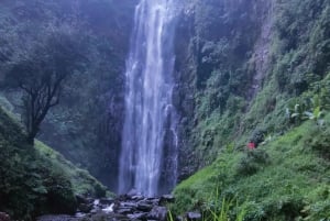 Moshi: Eine Tagestour zum Materuni-Wasserfall