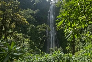 Moshi : Excursion d'une journée à la chute d'eau de Materuni