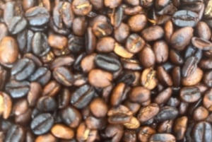 Moshi : Excursion d'une journée à la chute d'eau de Materuni