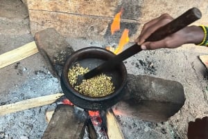 Moshi : Excursion d'une journée à la chute d'eau de Materuni