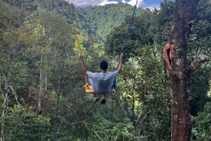 Moshi : Excursion d'une journée à la chute d'eau de Materuni