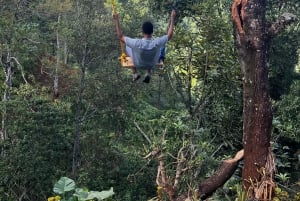 Moshi : Excursion d'une journée à la chute d'eau de Materuni