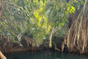 Моши/Аруша: однодневная экскурсия к горячим источникам Чемка и водопаду Матеруни