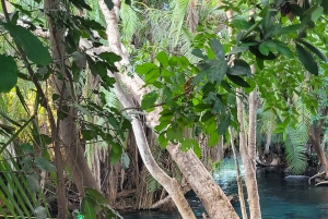 Моши/Аруша: однодневная экскурсия к горячим источникам Чемка и водопаду Матеруни