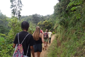 Moshi/Arusha: Chemka Hot Springs Materuni Waterfall Day tour