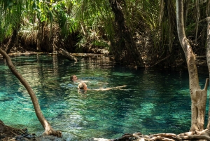 Moshi/Arusha: Chemka Hot Springs Materuni Waterfall Day tour