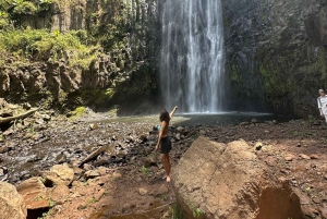 Moshi/Arusha: Chemka Hot Springs Materuni Waterfall Day tour