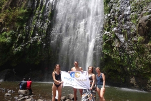 Moshi/Arusha: Chemka Hot Springs Materuni Waterfall Day tour
