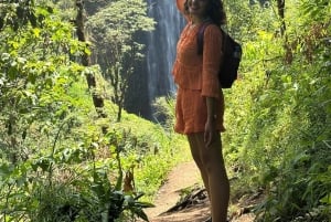 Moshi/Arusha: Chemka Hot Springs Materuni Waterfall Day tour