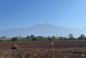 Moshi/Arusha: Chemka Hot Springs Materuni Waterfall Day tour