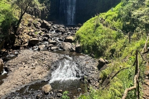Moshi/Arusha: Chemka Hot Springs Materuni Waterfall Day tour