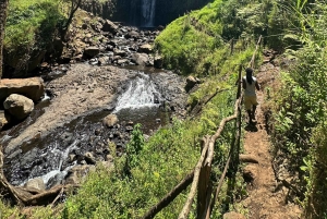 Moshi/Arusha: Chemka Hot Springs Materuni Waterfall Day tour