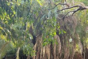 Moshi/Arusha: Chemka Hot Springs Materuni Waterfall Day tour