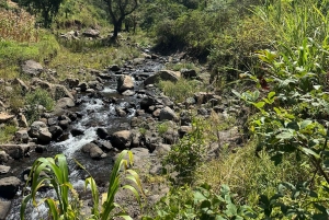 Moshi/Arusha: Chemka Hot Springs Materuni Waterfall Day tour