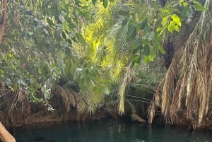 Moshi/Arusha: Chemka Hot Springs Materuni Waterfall Day tour