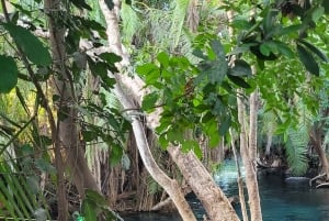 Moshi/Arusha: Chemka Hot Springs Materuni Waterfall Day tour