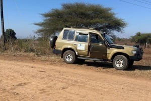 Moshi/Arusha: Chemka Hot Springs Materuni Waterfall Day tour