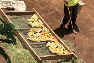 Moshi/Arusha: Chemka Hot Springs Materuni Waterfall Day tour