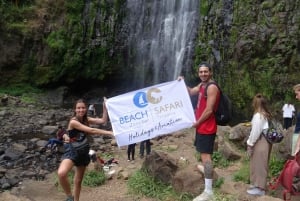 Arusha: tour delle sorgenti termali, delle cascate e delle piantagioni di caffè