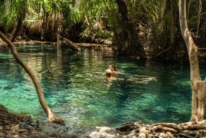 Arusha: tour delle sorgenti termali, delle cascate e delle piantagioni di caffè