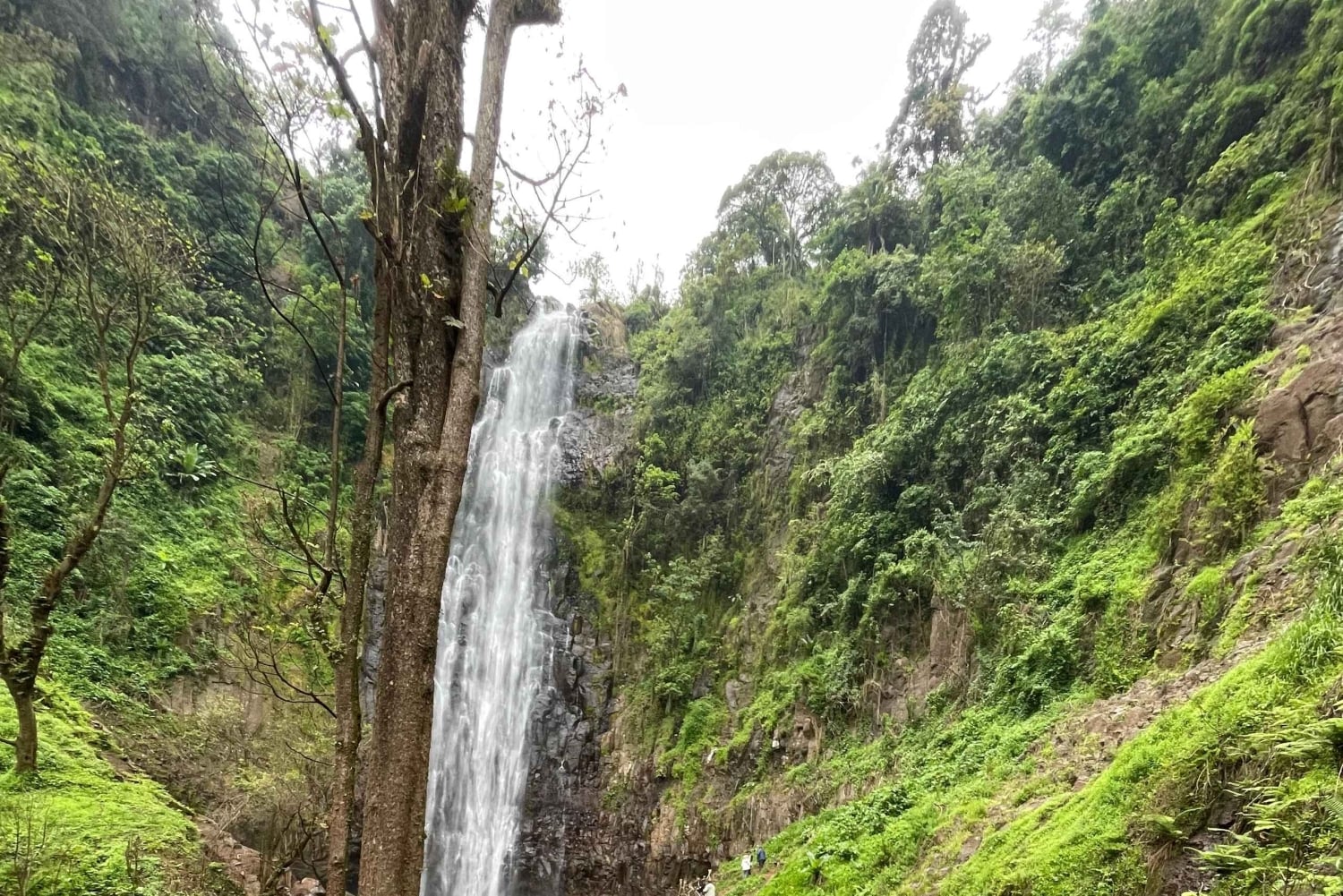 Моши/Аруша: однодневная поездка к водопадам Матеруни, кофейный тур и обед