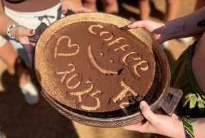 Моши/Аруша: однодневная поездка к водопадам Матеруни, кофейный тур и обед