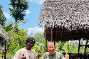 Моши/Аруша: однодневная поездка к водопадам Матеруни, кофейный тур и обед