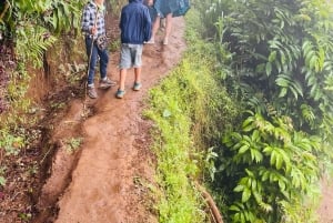 Моши/Аруша: однодневная поездка к водопадам Матеруни, кофейный тур и обед