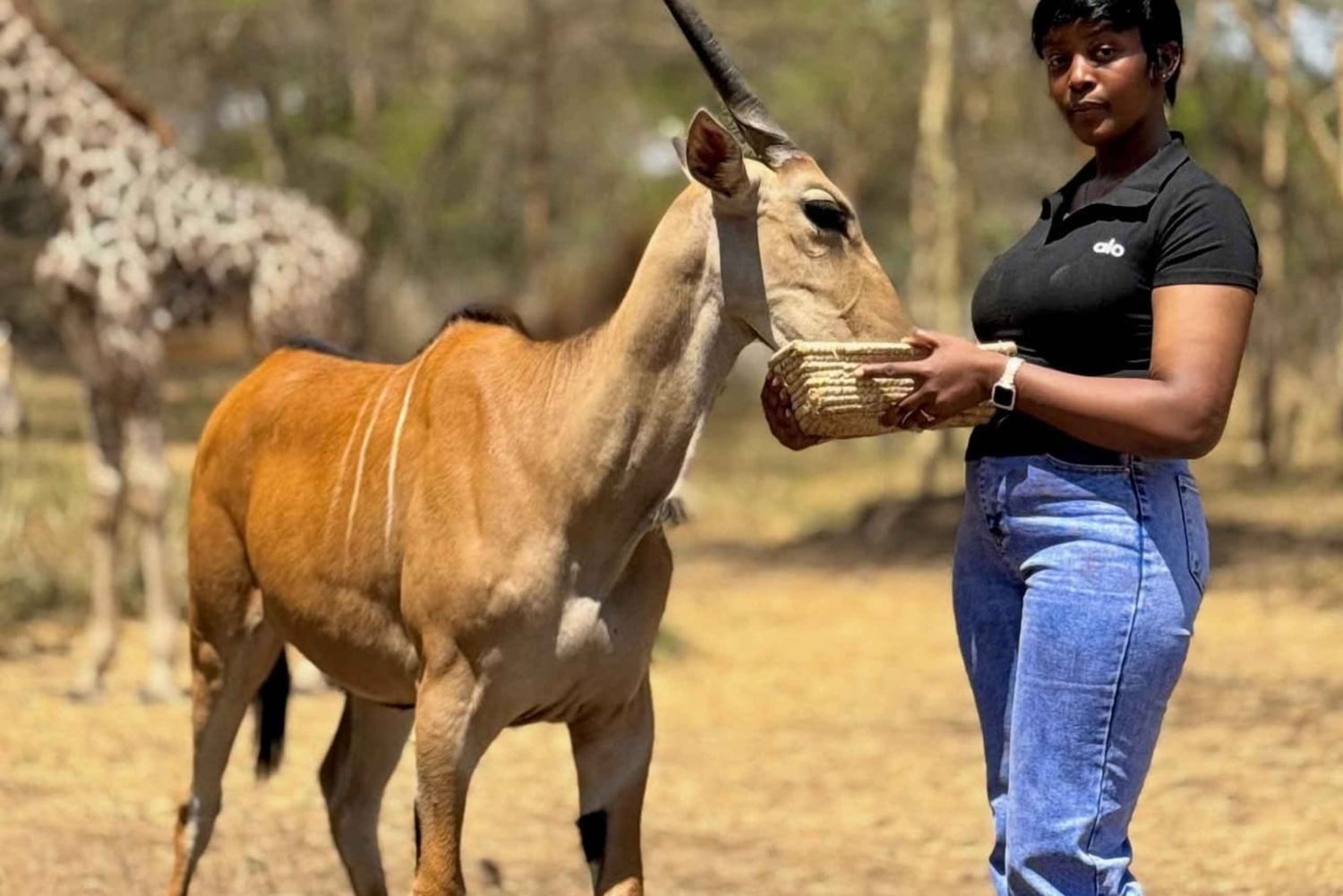 Moshi/Arusha: gita di 1 giorno alla scoperta della fauna selvatica e del villaggio Masai