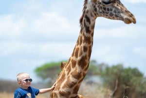 Moshi/Arusha: gita di 1 giorno alla scoperta della fauna selvatica e del villaggio Masai