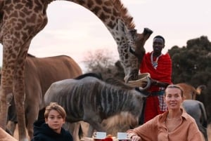 Moshi/Arusha: gita di 1 giorno alla scoperta della fauna selvatica e del villaggio Masai