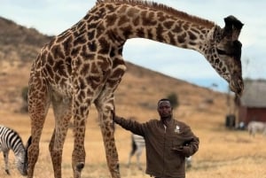 Moshi/Arusha: gita di 1 giorno alla scoperta della fauna selvatica e del villaggio Masai