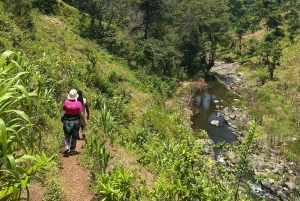 Arusha: tour delle sorgenti termali, delle cascate e delle piantagioni di caffè
