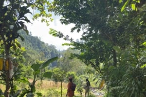 Arusha: tour delle sorgenti termali, delle cascate e delle piantagioni di caffè