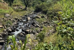 Arusha: tour delle sorgenti termali, delle cascate e delle piantagioni di caffè