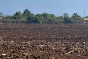 Arusha: tour delle sorgenti termali, delle cascate e delle piantagioni di caffè