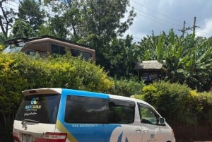 Arusha: tour delle sorgenti termali, delle cascate e delle piantagioni di caffè