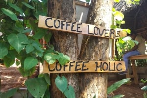 Arusha: tour delle sorgenti termali, delle cascate e delle piantagioni di caffè