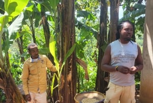 Arusha: tour delle sorgenti termali, delle cascate e delle piantagioni di caffè