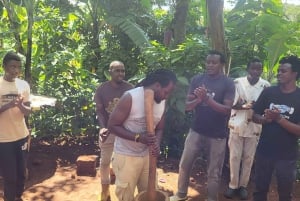 Arusha: tour delle sorgenti termali, delle cascate e delle piantagioni di caffè